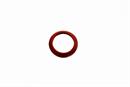 Raypak 007343F EXCH GASKET