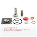 ASCO Power Technologies 302273 Asco rebuild kit for 8210AC series valves