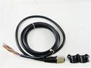 Fireye Inc. 59-546-3 10ft/3m QuickDisConn wire