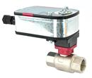 Siral B236SVFDV24 Ball Valve for Steam, S.S., 2-way, 3/4", Fail Safe, 24V, On/Off