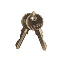 Functional Devices (RIB) KEYSET set of 2 spare keys for key latched metal housings