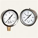 Reotemp Instruments PG25C2A4P01 Gauge 2.5" 1/4LM -30 to 0" Hg