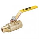 Parker Hannifin Corp. - Brass Division XV500P-6 3/8^ FPT BALL VALVE