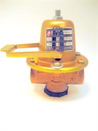 ITT Bell & Gossett FB38 Bell & Gossett Press reducing valve 1/2" set 12 PS Image